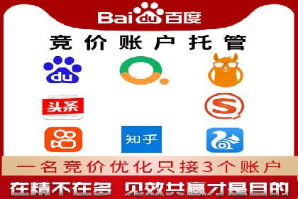 搜索引擎营销（SEM）托管服务在提升ROI方面的案例